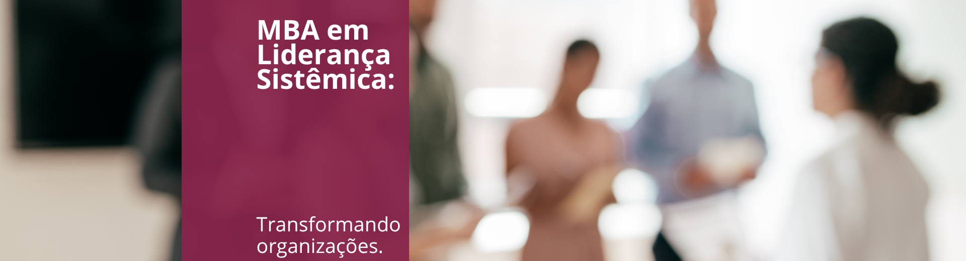 Banner 2 (1920 x 520 px)